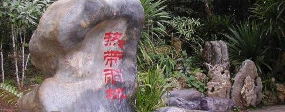 中科院西双版纳热带植物园  第3张