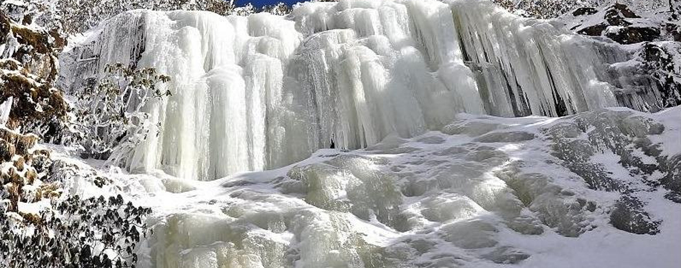 轿子雪山  第3张