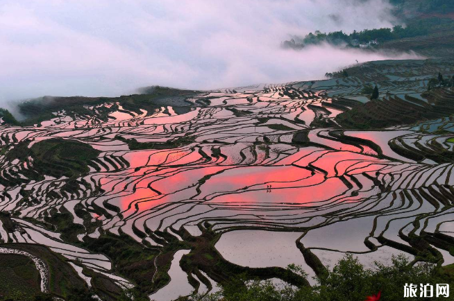 云南全年最佳观赏时间景点 云南适合几月份去旅游_游云南网  第4张