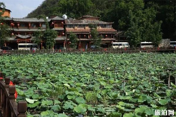 五一云南适合去哪玩 哪些景区有优惠_游云南网  第3张