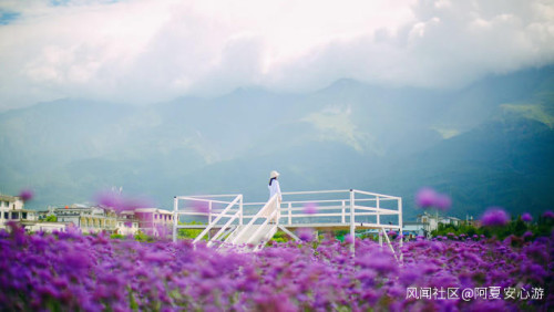 云南旅游攻略必去景点顺序，云南旅游这些必去景点都去过吗？_游云南网  第4张