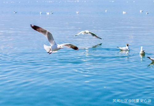 春节云南旅游攻略，云南七日旅游攻略详细_游云南网  第6张