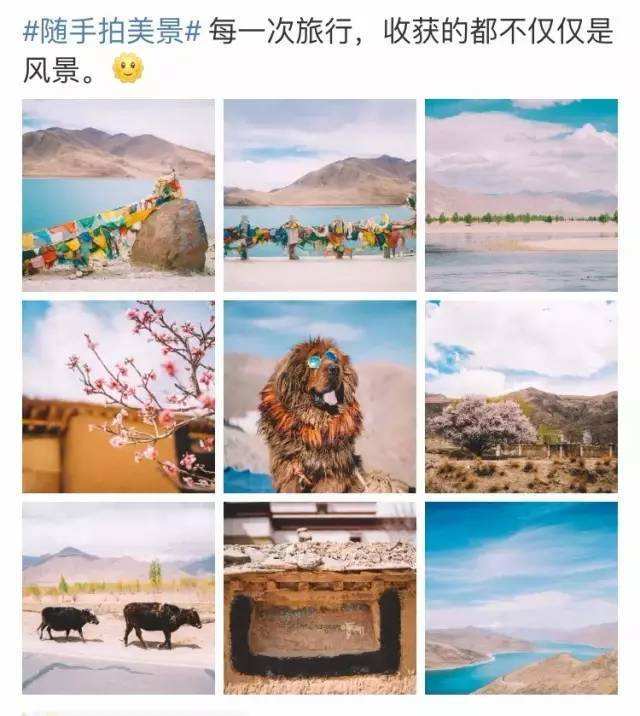 云南当地旅行社,云南靠谱旅行社  第2张