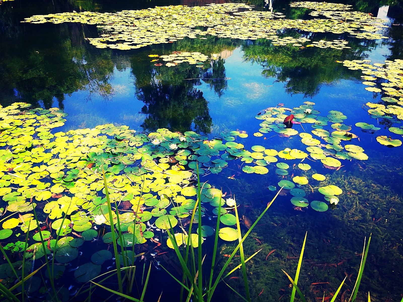 【昆明四日游】——游览祖国美景