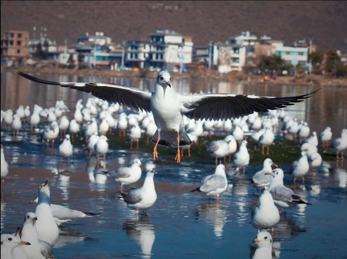 昆明自驾——自驾昆明旅游