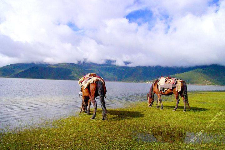 大理丽江香格里拉神话春季旅游指南