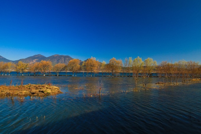 观赏蝴蝶泉，欣赏大理美景