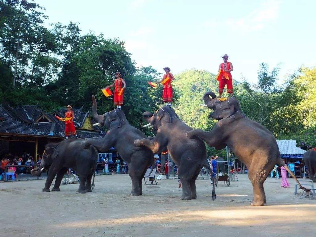 大理、丽江、丽江香格里拉旅游线路