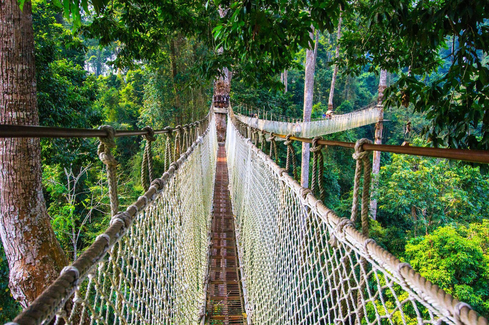 丽江旅游淡季是哪个月？丽江旅游景点路线