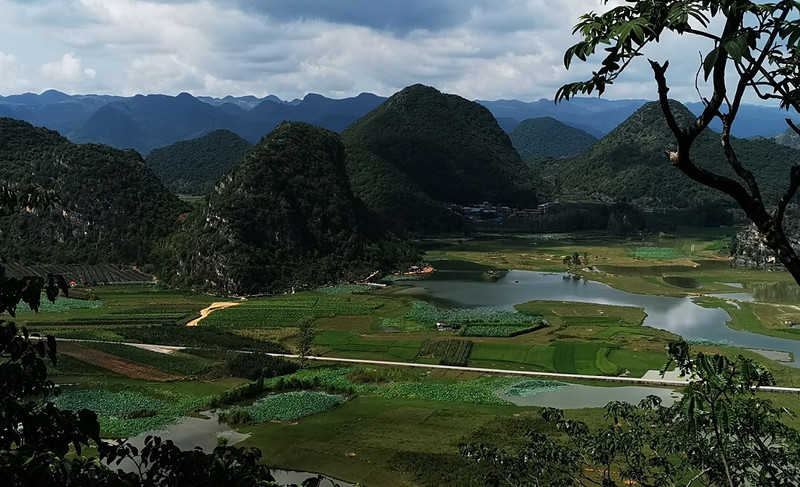 春节去云南旅游，去网上名人景点打卡